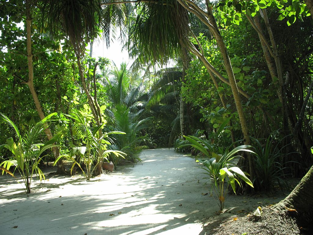 IMG_1034.JPG - utca a szigeten