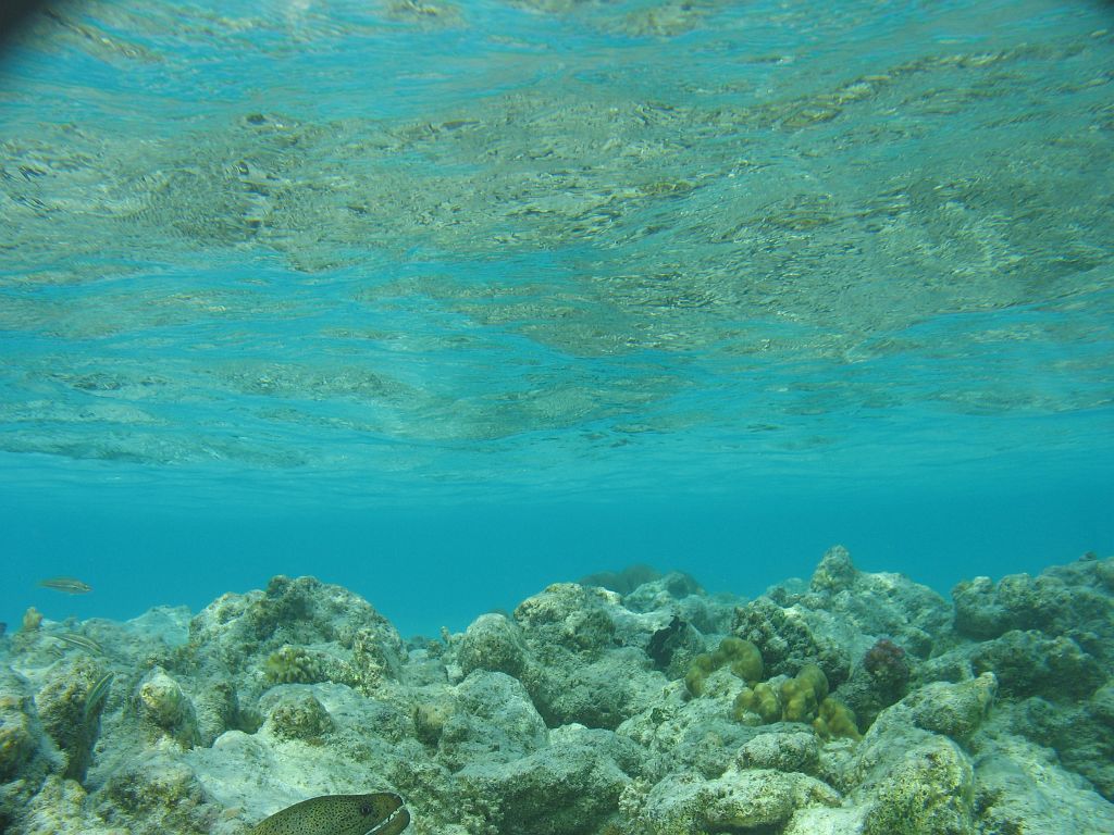 IMG_1684.JPG - Sajnos nem céloztam jól.