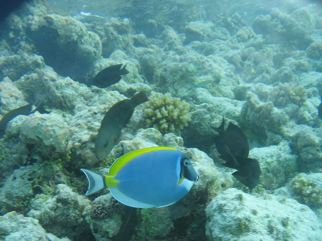 IMG_1697.JPG - doktorhal