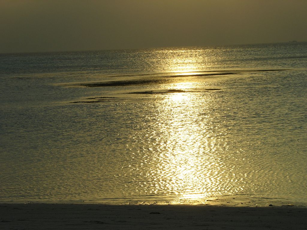 IMG_1703.JPG - aranyhíd