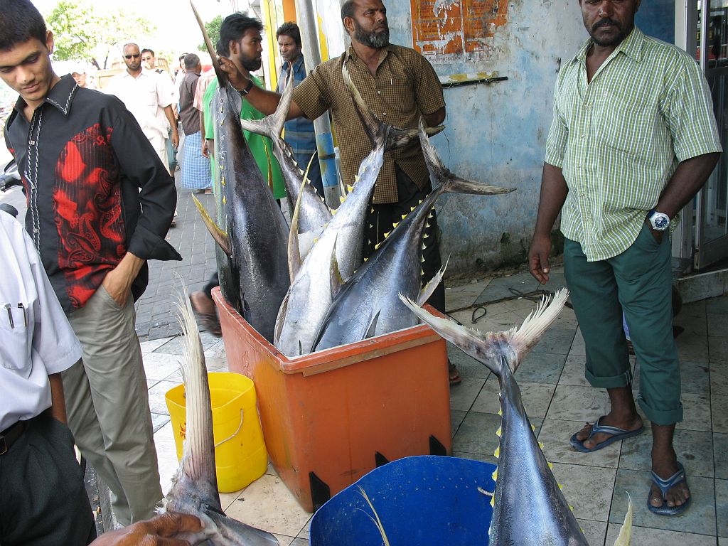 IMG_1747.JPG - tonhalakat árulnak