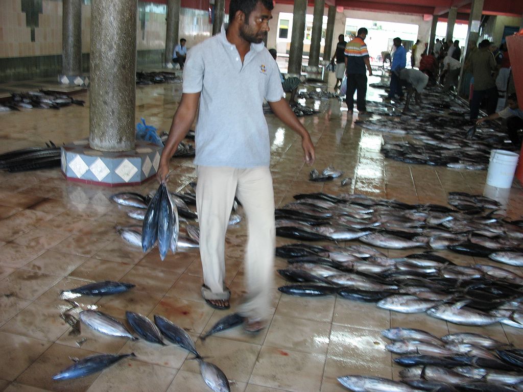 IMG_1749.JPG - halpiac