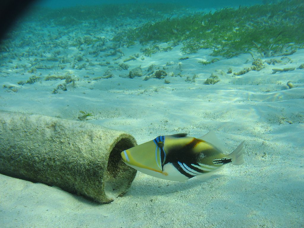 IMG_1946.JPG - benézünk...